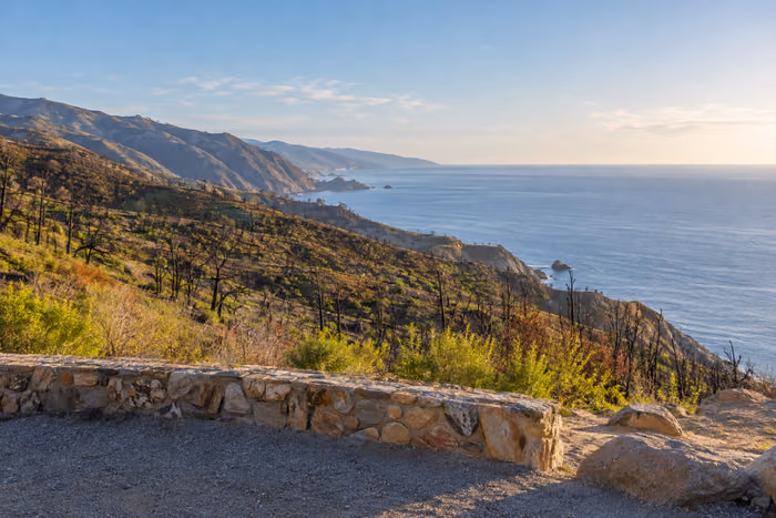 A quiet coastal overlook after wildfire