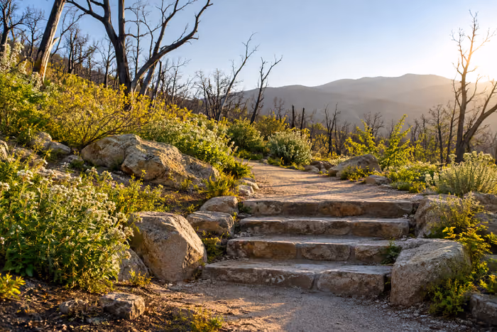 Empty stone steps toward a garden path